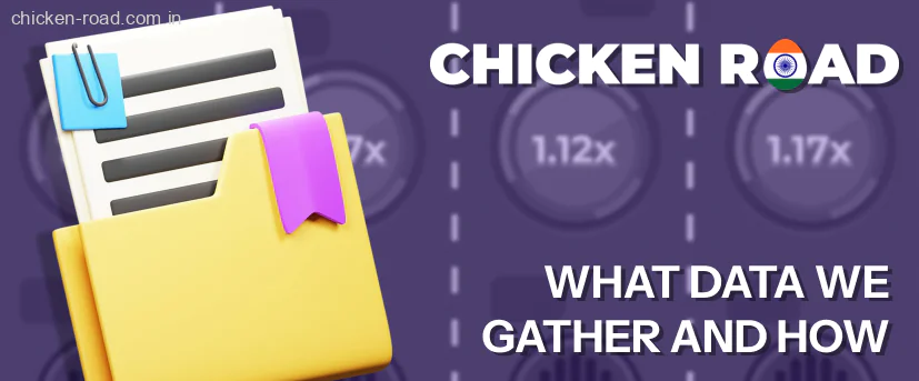 Chicken Road data collection